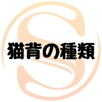 画像285