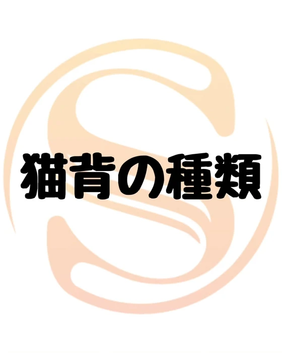 画像285