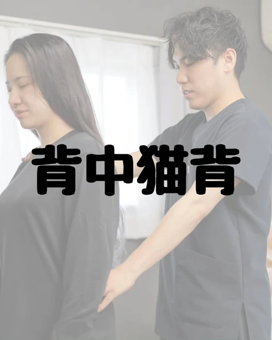 画像294