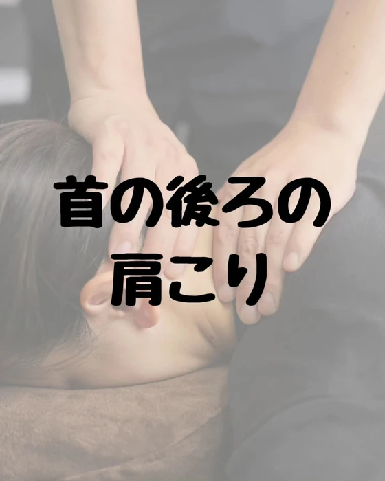 画像315
