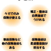 画像538