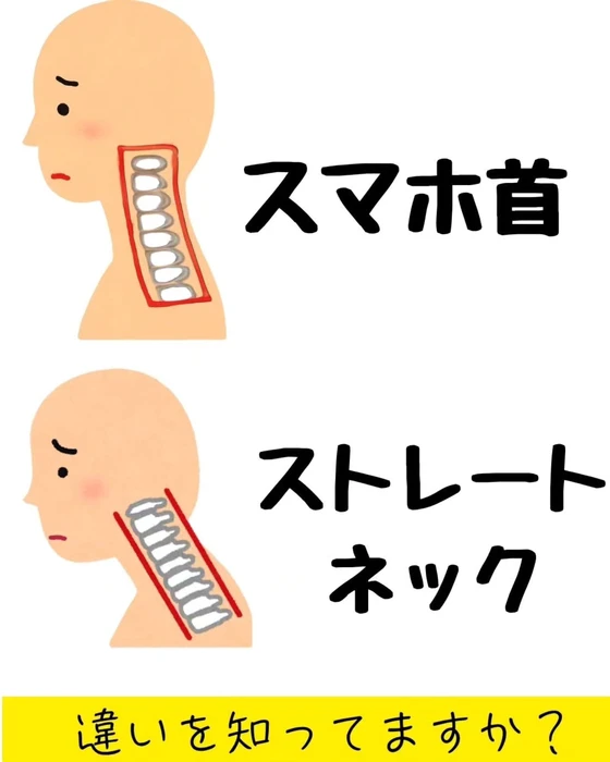 画像559